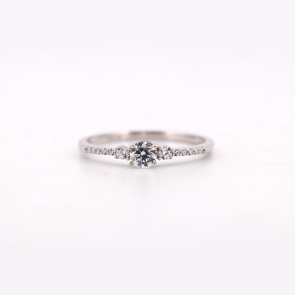 Anillo Laterales